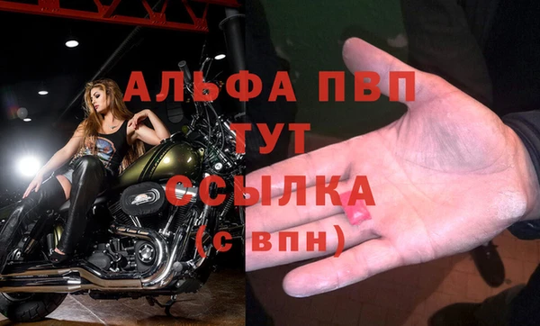 ПСИЛОЦИБИНОВЫЕ ГРИБЫ Волосово